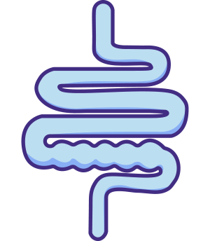 An icon of intestines with a blockage.