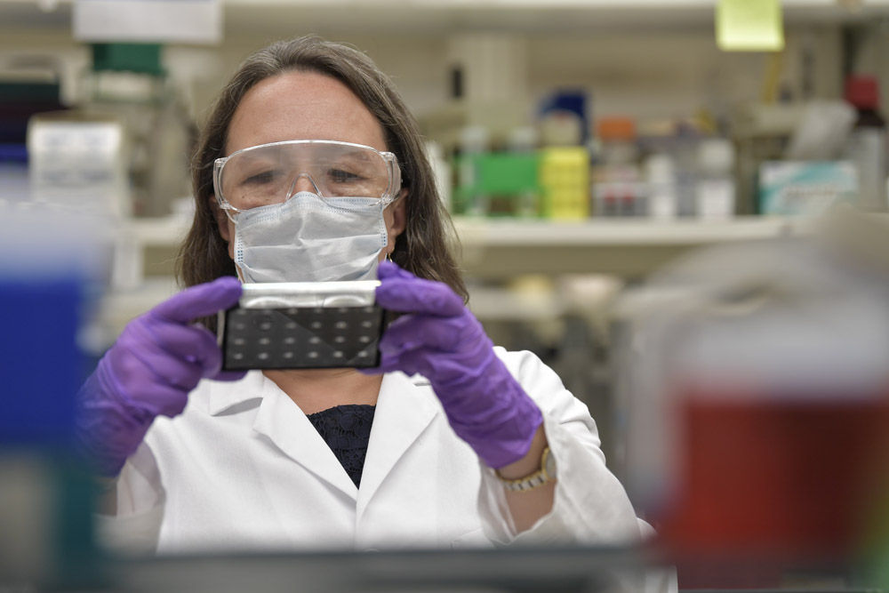 Cellular and molecular biologist Tatyana Dekhtyar