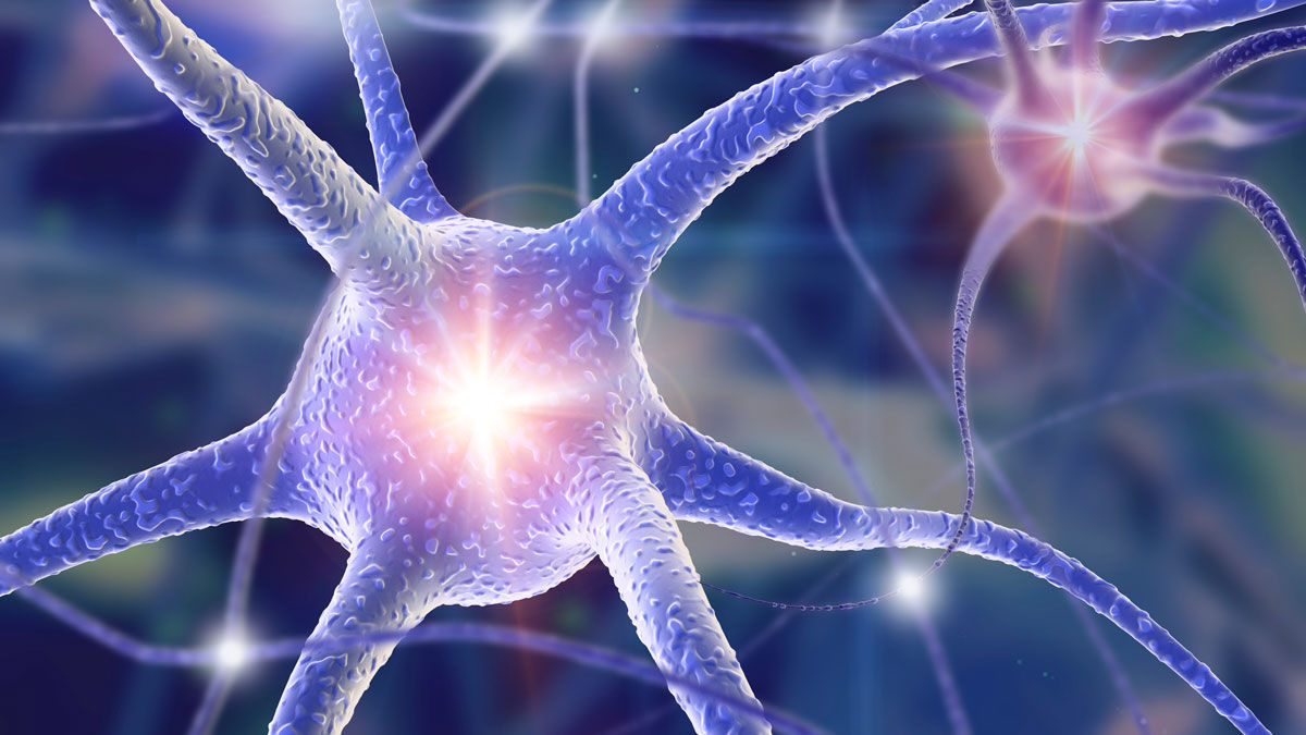 Neuro-cell