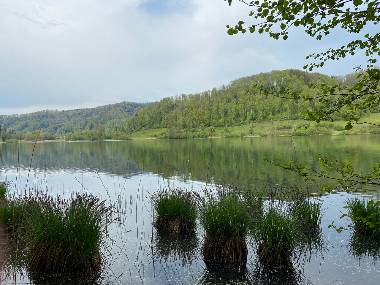 en passant par une magnifique réserve naturelle  dans l’atmosphère limpide d’après la pluie... 