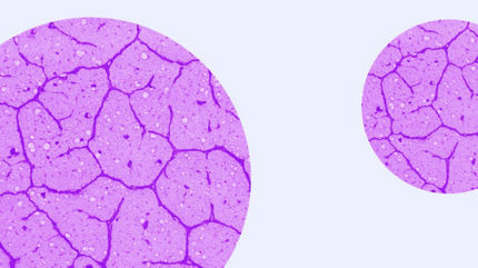 eye care cell