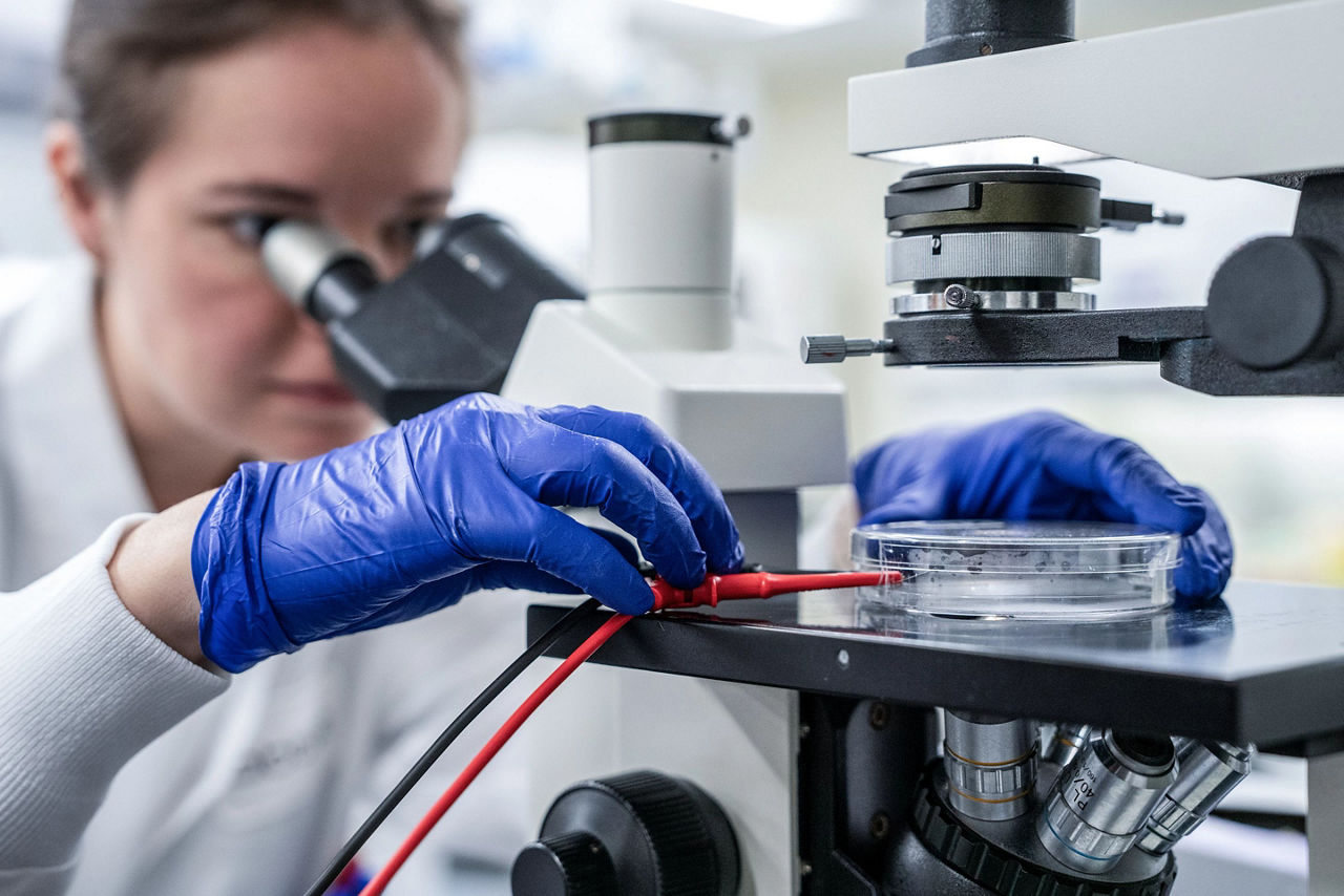 femme inspectant des échantillons au microscope