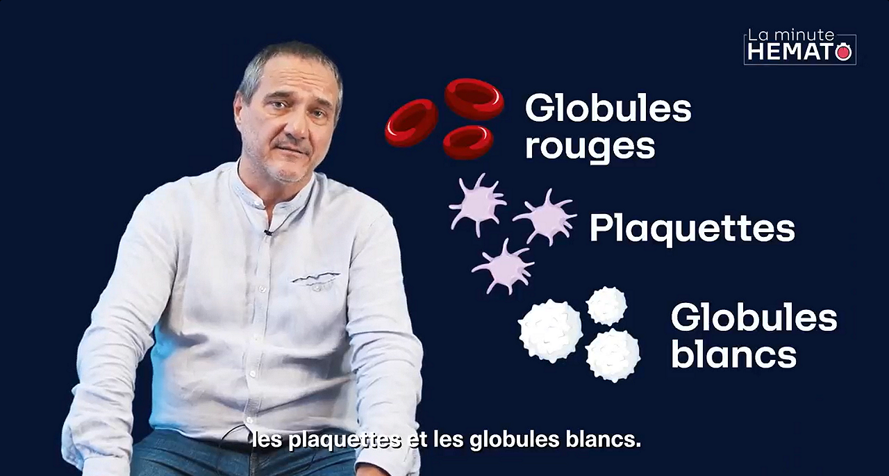 Qu'est-ce qu'une leucémie lymphoïde chronique - vidéo Dr Stéphane Lepretre