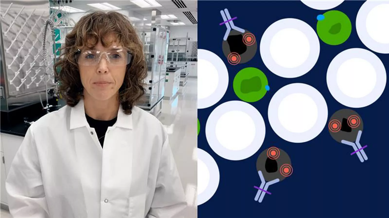 one minute thesis multispecific video thumbnail