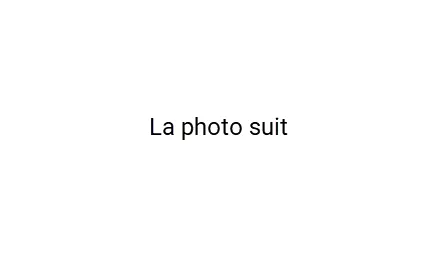swiss-profile-pic-placeholder-fr