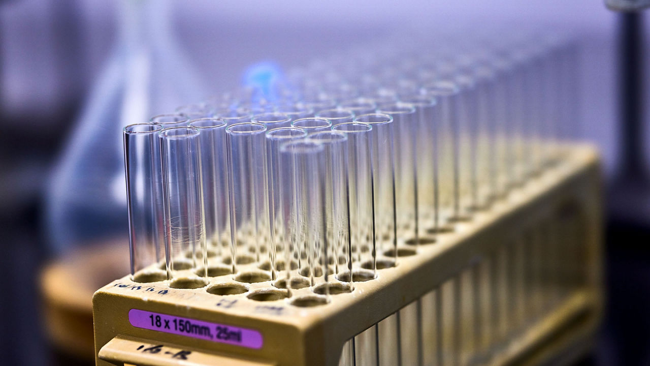 test tubes in a row