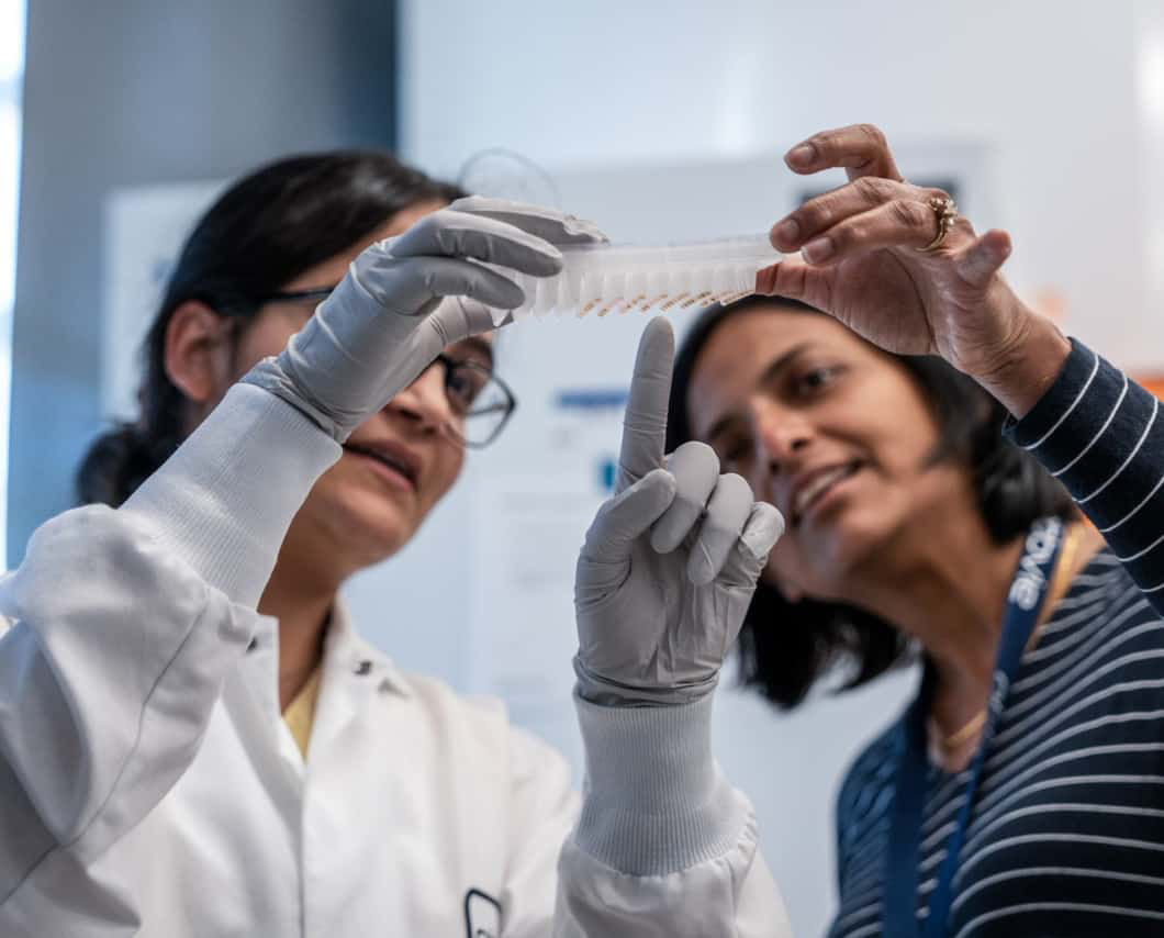 two scientist looking at test tube tray