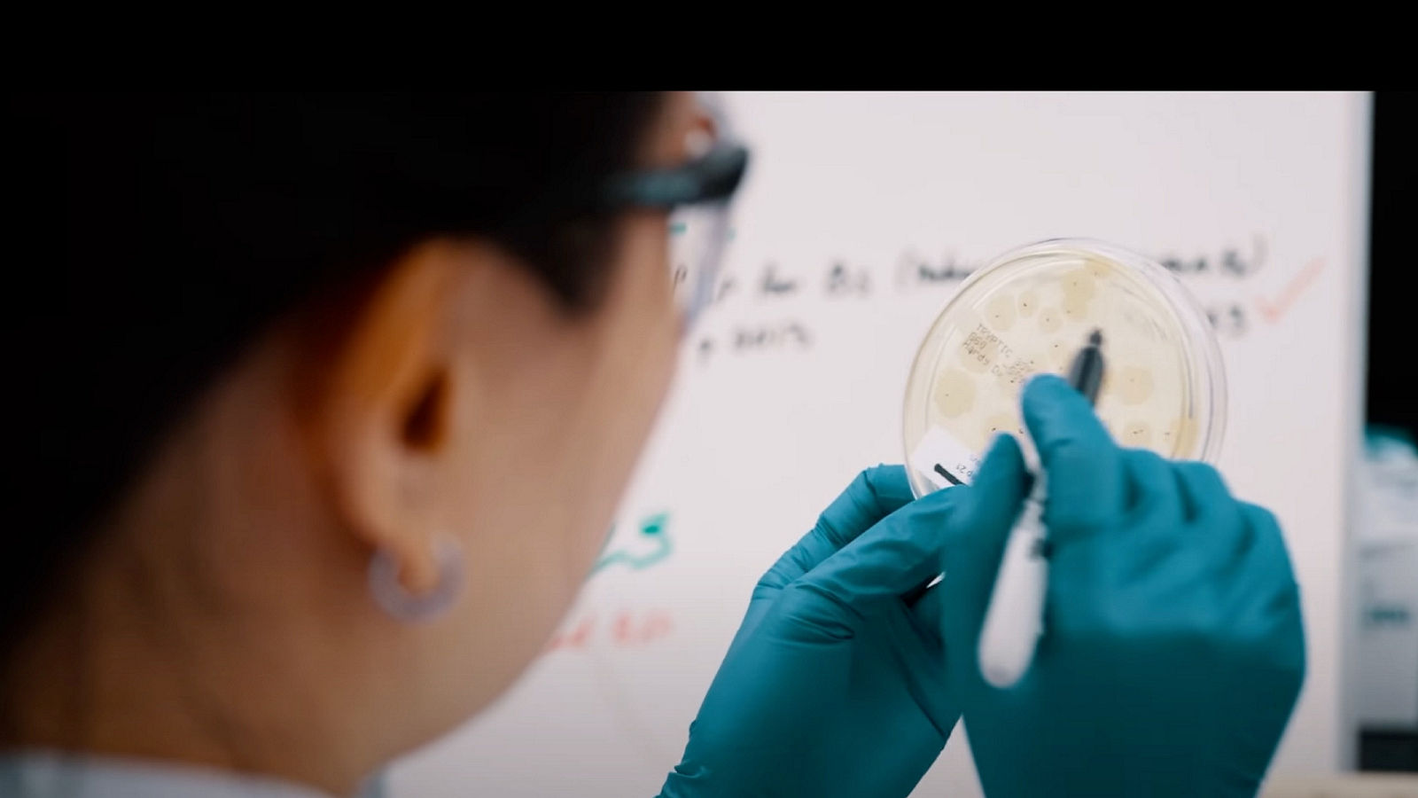 Close-up of a scientist checking a petri dish